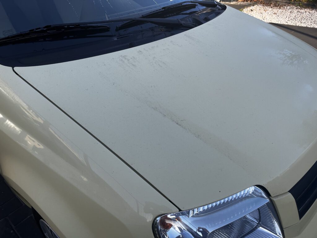 Fiat Panda — Showroom Exterieur